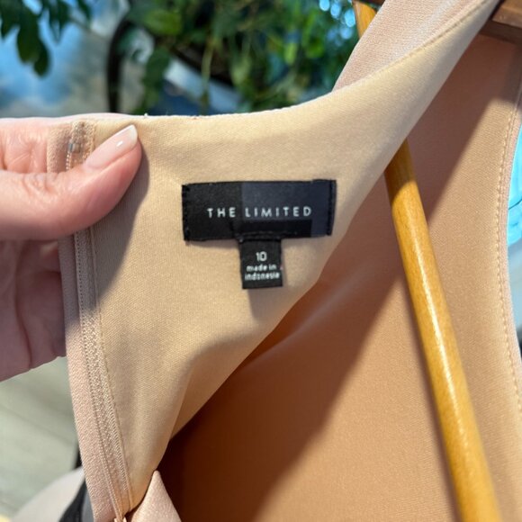 β¨ The Limited Blush Pink Sheath Dress with Black Lace β¨ - Picture 2 of 5